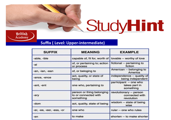 Suffixes grammar