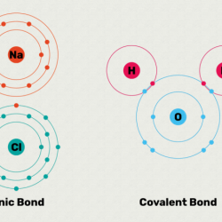 Ionic bonding gizmo answer key