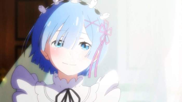 Rem re anime zero maid