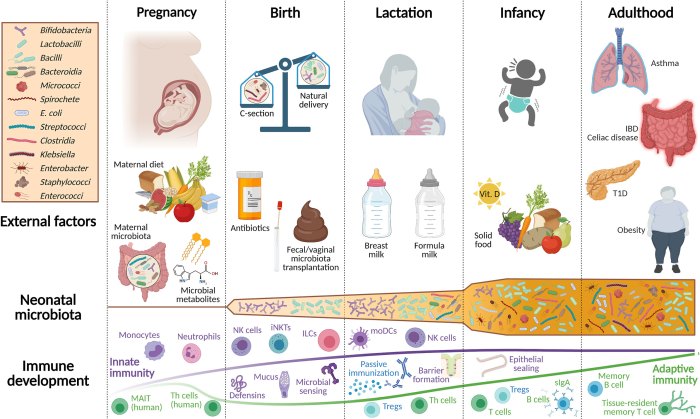 Hesi premature infant case study