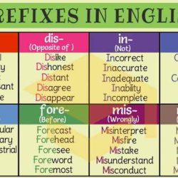 Prefix words prefixes vocabularyan grades