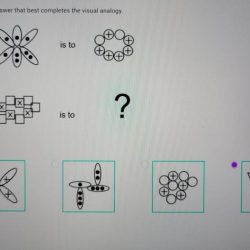 Selecciona la respuesta que mejor completa cada oración