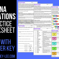 Dna mutations practice worksheet answer key