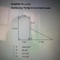 Drawn scale area figure find