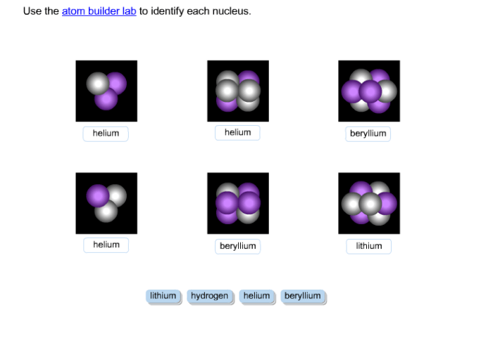 Use the atom builder interactive to identify each nucleus